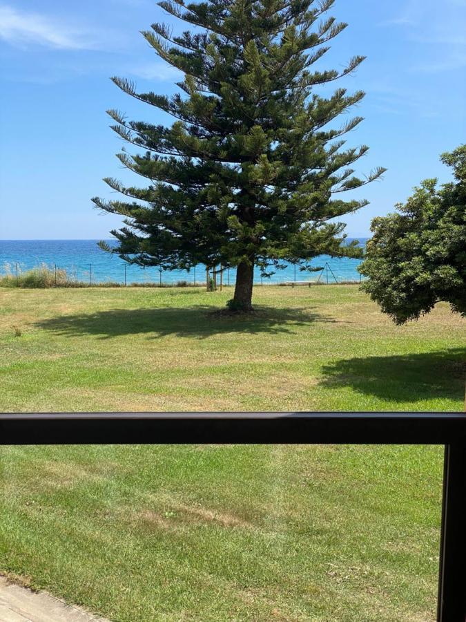 Appartement N 216 Moriani Plage 산타 루치아 디 모리아니 외부 사진
